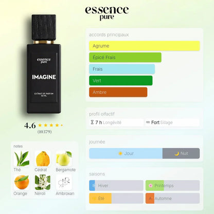pyramide olfactive parfum imagination dupe