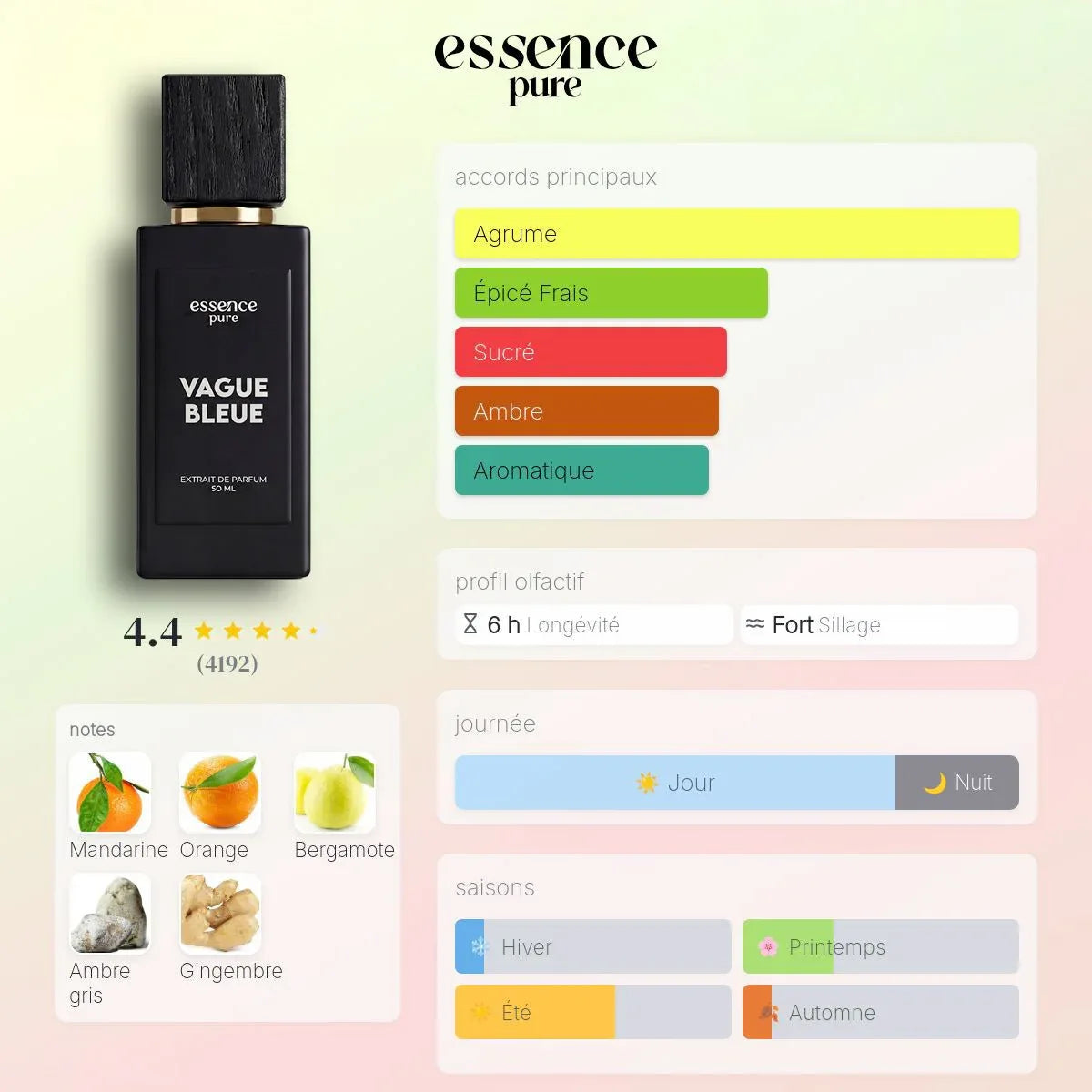 Pyramide olfactive — Vague Bleue — Extrait de Parfum 50ml